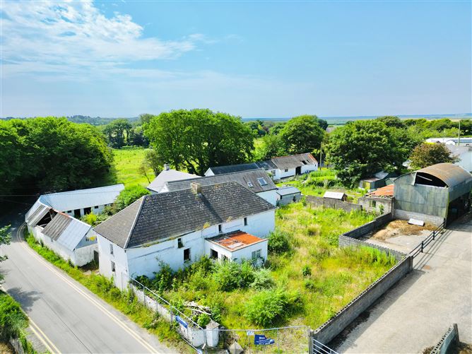 The Raven, Curracloe, Wexford