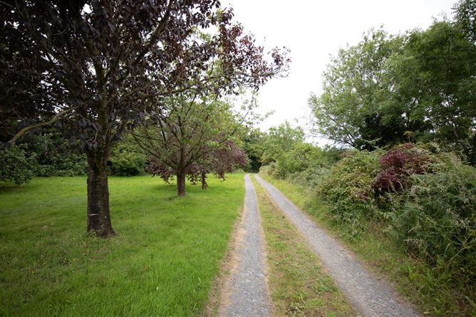 Butlers Hill On Circa 9.64 Acres, Ballysallagh, Johnswell, Co. Kilkenny