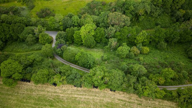 Butlers Hill On Circa 9.64 Acres, Ballysallagh, Johnswell, Co. Kilkenny