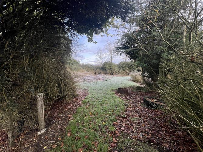 Kilbreedy, Killenaule, County Tipperary