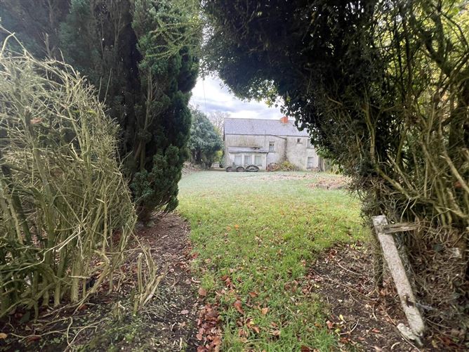 Kilbreedy, Killenaule, County Tipperary