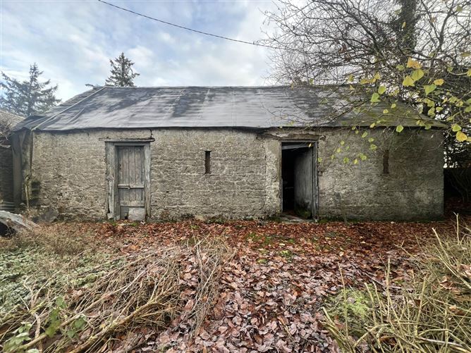 Kilbreedy, Killenaule, County Tipperary