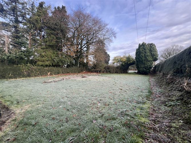 Kilbreedy, Killenaule, County Tipperary