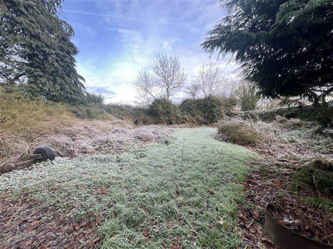 Kilbreedy, Killenaule, County Tipperary