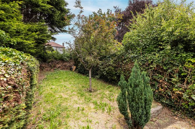 https://photos-a.propertyimages.ie/media/9/9/8/5005899/5035014e-6c95-4d29-8d5b-024aa65973cd_l.jpg