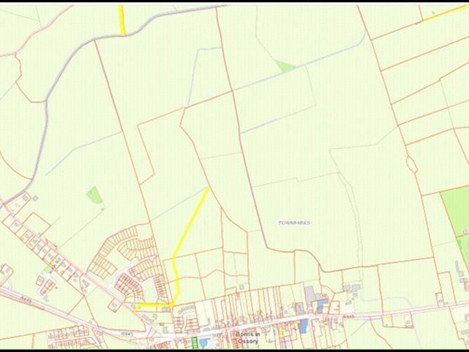 Rear Of Main St, Borris In Ossory, Co. Laois