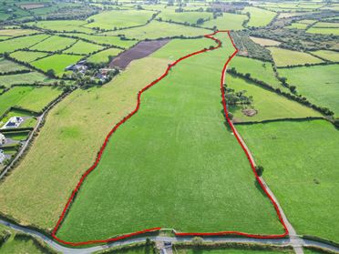 Slievedurda Borris Co Carlow, Borris, Carlow