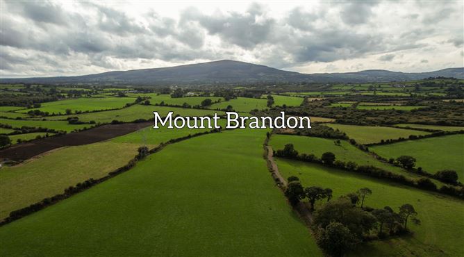 Slievedurda Borris Co Carlow, Borris, Carlow