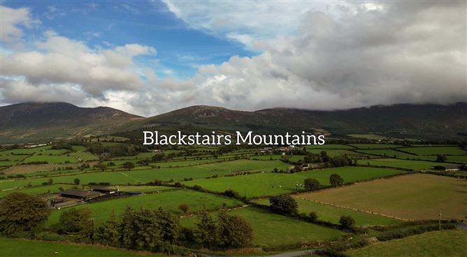 Slievedurda Borris Co Carlow, Borris, Carlow