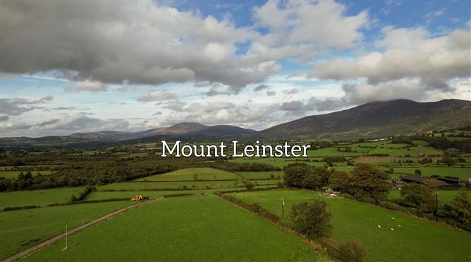 Slievedurda Borris Co Carlow, Borris, Carlow