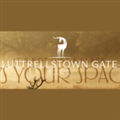 Luttrellstown Gate - Padraic Whelan